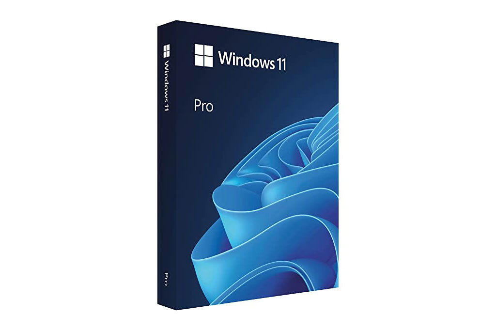MS Windows 11 Professional